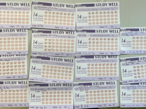 Study Well：14-Day Pomodoro Challenge 2022 — 番茄鐘學習法（有效學習促進委員會）