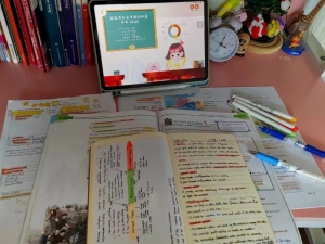 間隔學習法（有效學習促進委員會）