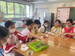 彩色水耕美食工作坊 2024（德公組及家政學會） 