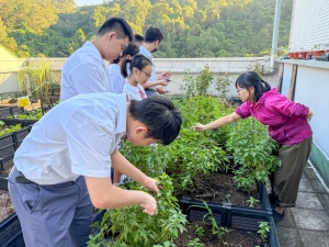 保馬園圃 2024：土壤及培苗工作坊（永續心活練習社）