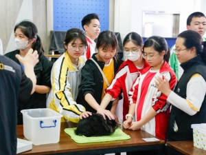 S.T.E.A.M. Week：生態保育 — 珍禽異獸工作坊 2025（課堂及午間活動）（S.T.E.A.M.）