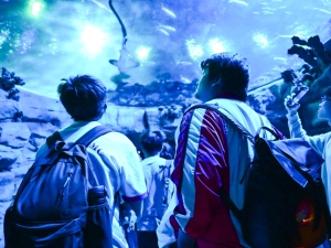 AiTLE x HKIMT：海洋生物工作坊 2025（資訊及通訊科技學會 、創科工作室）