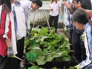 與自然之約 2026：五十斤冬瓜挑戰 — 家長與學生共學課堂 （地理學會、德育及公民教育組、保馬園圃）